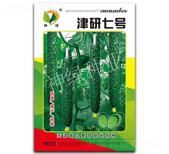 津研七號(hào)-黃瓜種子-華益種業(yè)