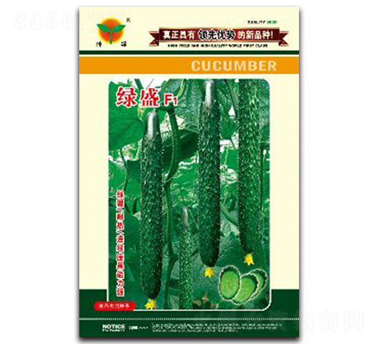 �GʢF1-�S�ϷN��-�A��N�I(y��)