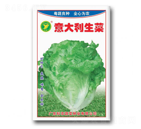 ���������-���˷N��-���r