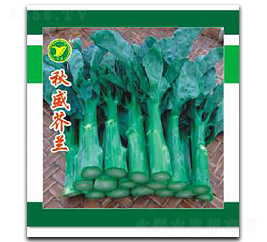 ��ʢ���{(l��n)-���{(l��n)�N��-���r(n��ng)