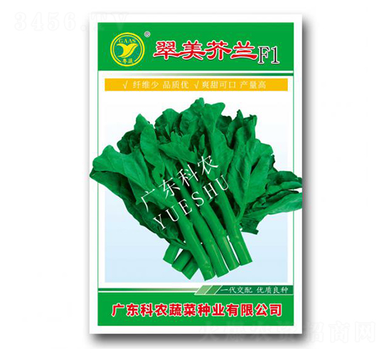 �������{(l��n)-���{(l��n)�N��-���r(n��ng)