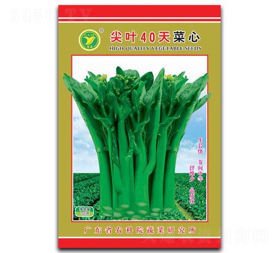 ���~40�����-���ķN��-���r(n��ng)