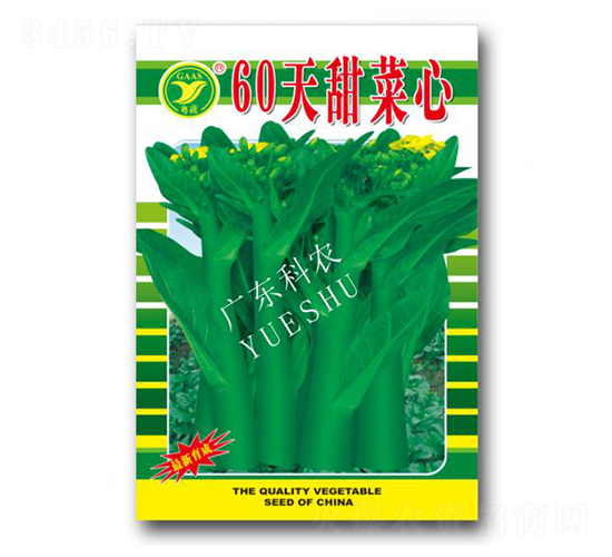 60�������-���ķN��-���r(n��ng)