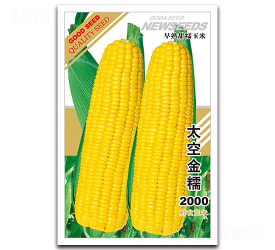 太空金糯2000-甜糯玉米種子-鑫博大