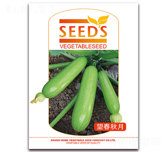 ��������-�����J�N��-�β���