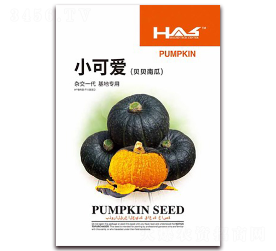 С�ɐ�(��i)ؐؐ�Ϲ�-�ϹϷN��-�β���