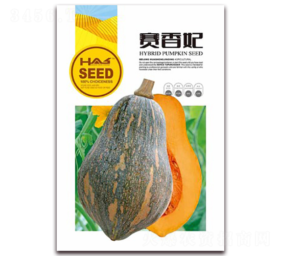 賽香妃-南瓜種子-鑫博大