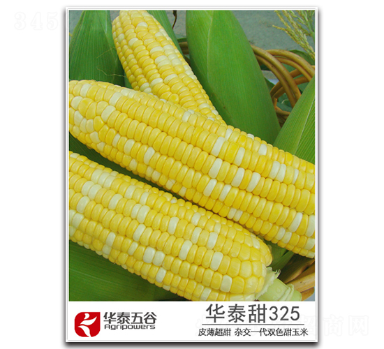 �A̩��325-�����׷N��-�A̩���