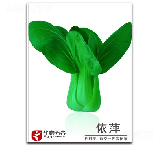 ��Ƽ-�๣�˷N��-�A̩���