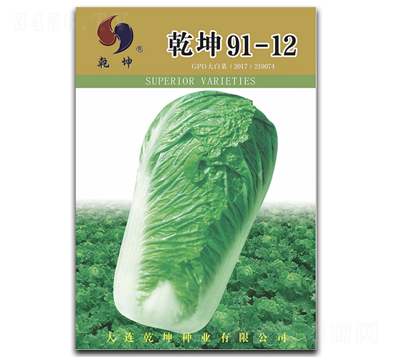 乾坤91-12-白菜種子-乾坤種業(yè)