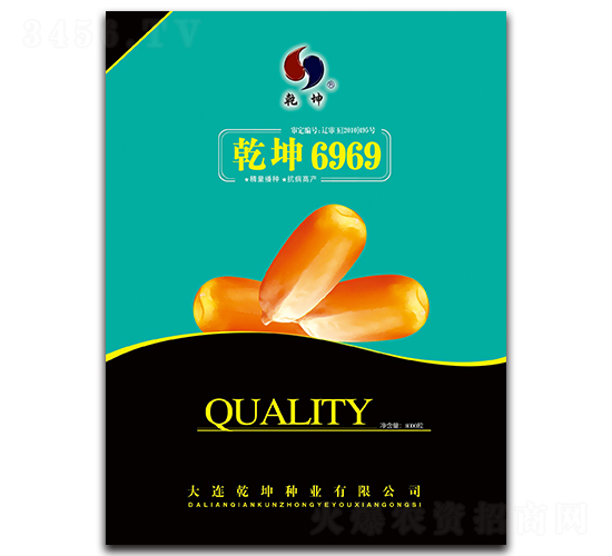 乾坤6969-玉米種子-乾坤種業(yè)