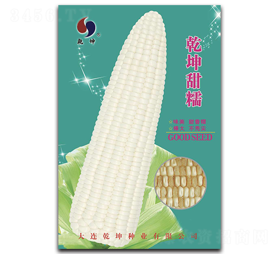 乾坤甜糯-玉米種子-乾坤種業(yè)