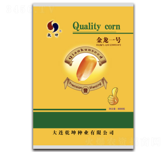 金龍一號-玉米種子-乾坤種業(yè)