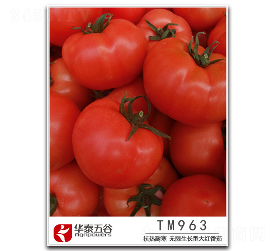 TM963-���ѷN��-�A̩���