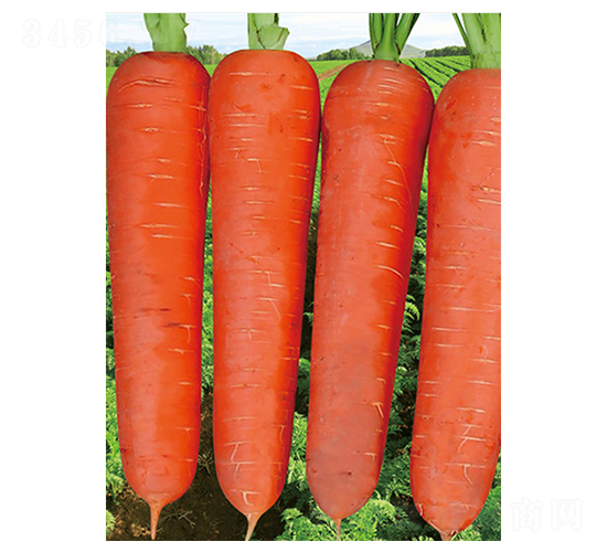 �t����}��-���}���N��-����