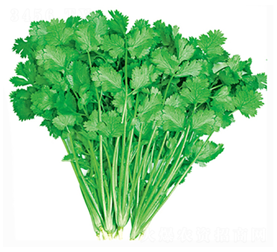 ���147-��˷N��-����