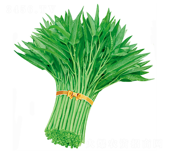 ���̩��(gu��)���~���Ĳ�-���Ĳ˷N��-����