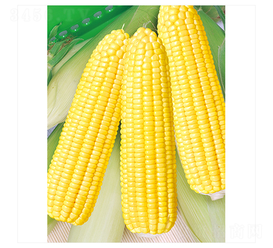 ��������̖(h��o)-���׷N��-����