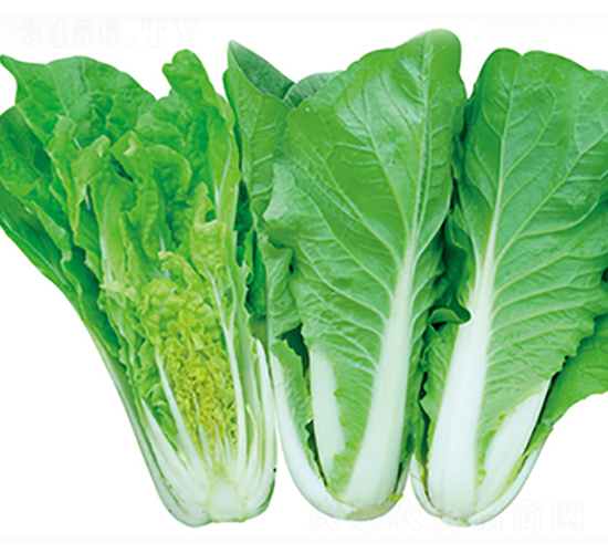 ���\1̖-�ײ˷N��-����