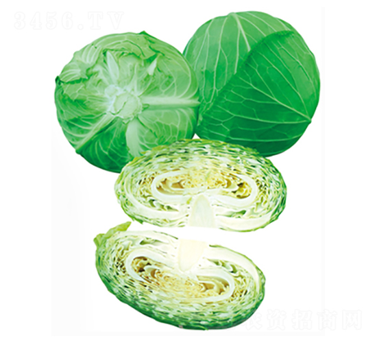 ׷�Ķ�̖-���{(l��n)�N��-����