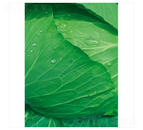 ����-���{(l��n)�N��-����