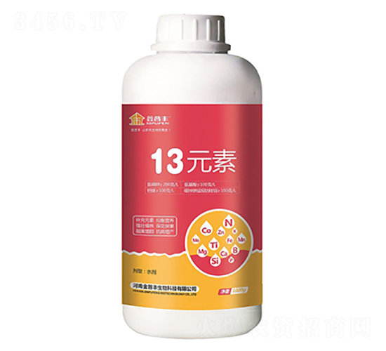 13Ԫ��-�����S