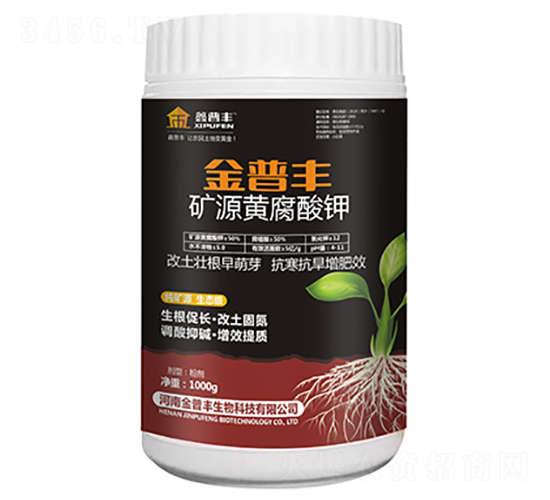 �VԴ�S�����-�����S