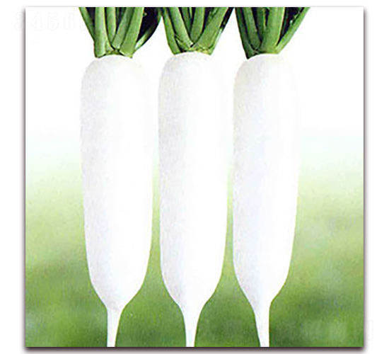 ���r(n��ng)R301-���}���N��-��˹��