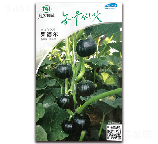 ��� �-�ϹϷN��-��˹��