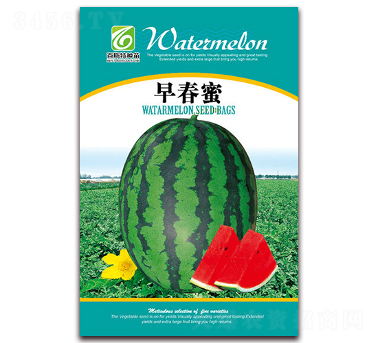 �紺��-���ϷN��-��˹��