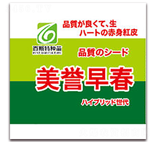 ���u(y��)�紺-���}���N��-��˹��