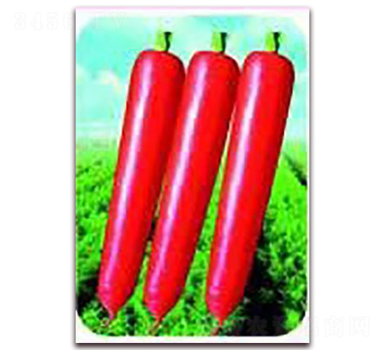 ��t3̖(h��o)���}��-���}���N��-��˹��