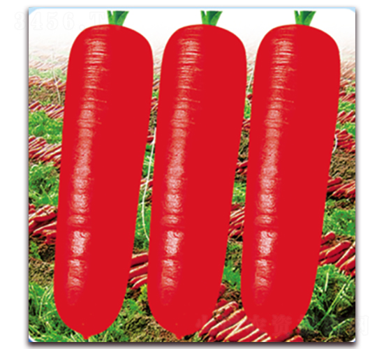 ���uһ̖-���}���N��-��˹��