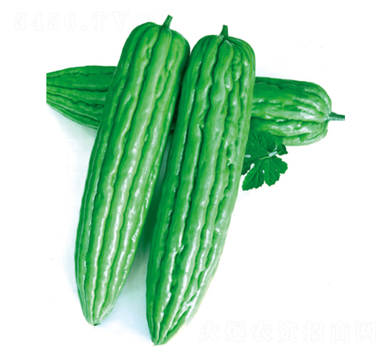 ��׿��̖(h��o)-��ϷN��-����