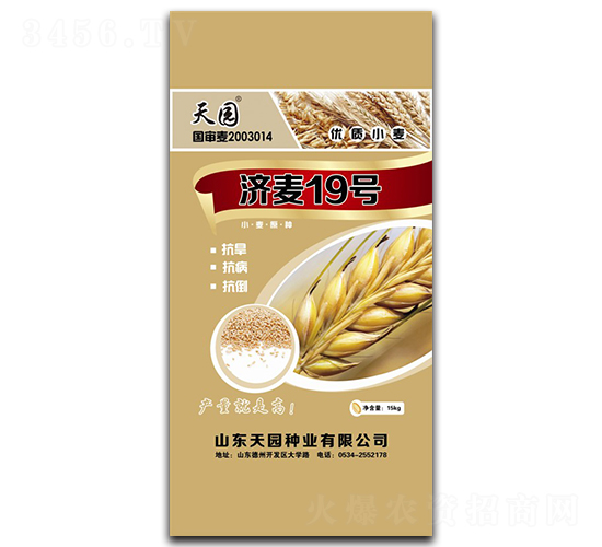 ����19-С���N��-��@�N�I(y��)