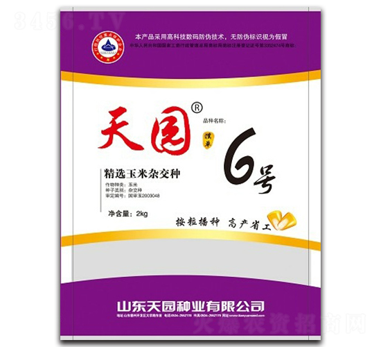 天園6號-玉米種子-天園種業(yè)