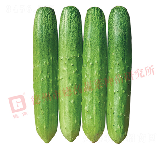 �¸�1913-�S�ϷN��-�¸�