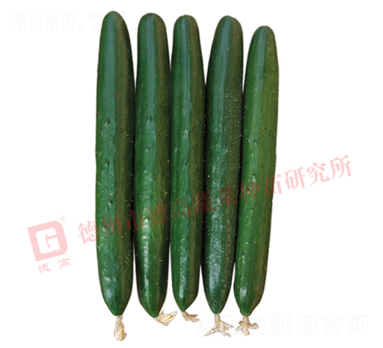 �¸�1867-�S�ϷN��-�¸�