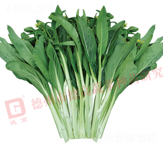 �¸�2027-��޷�N��-�¸�