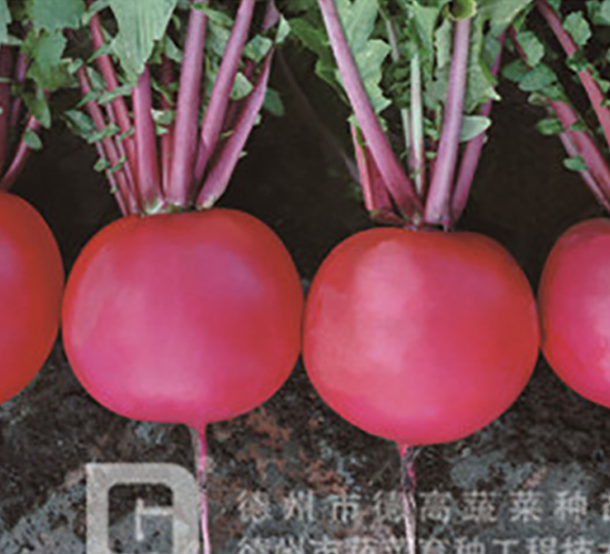 �t��1̖(h��o)-�tƤ�}���N��-�¸�