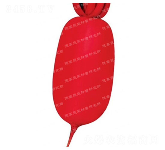 �׼t-�tƤ�}���N��-�¸�