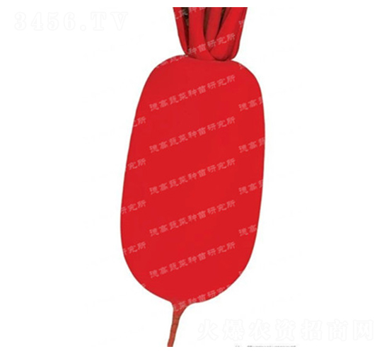 ��t-�tƤ�}���N��-�¸�