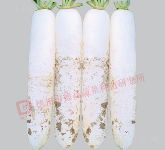 �¸�R192-���}���N��-�¸�