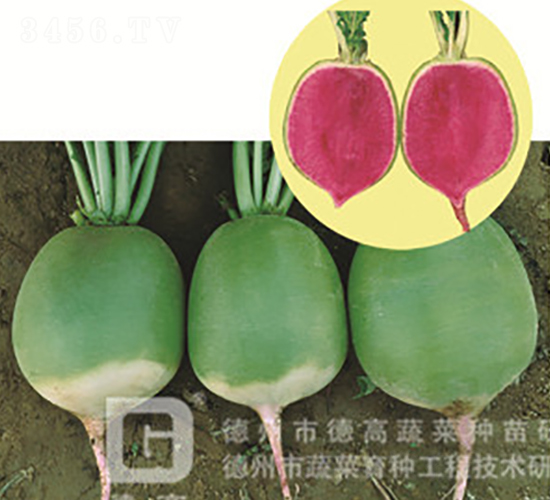 �t��ٝ-�}���N��-�¸�