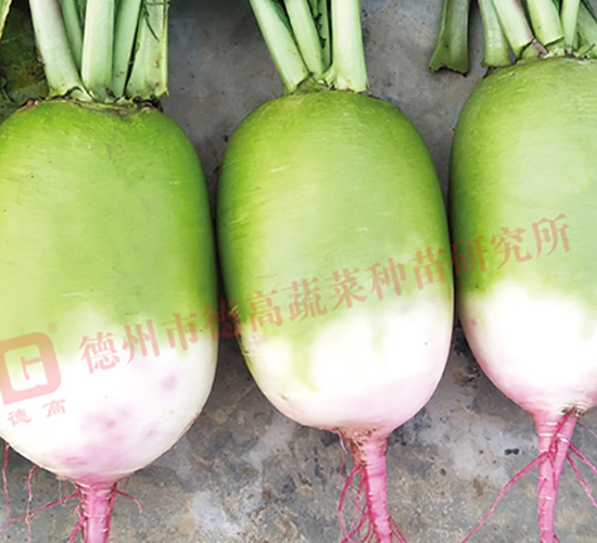 R177-�}���N��-�¸�