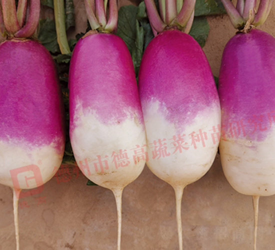 R275-�}���N��-�¸�