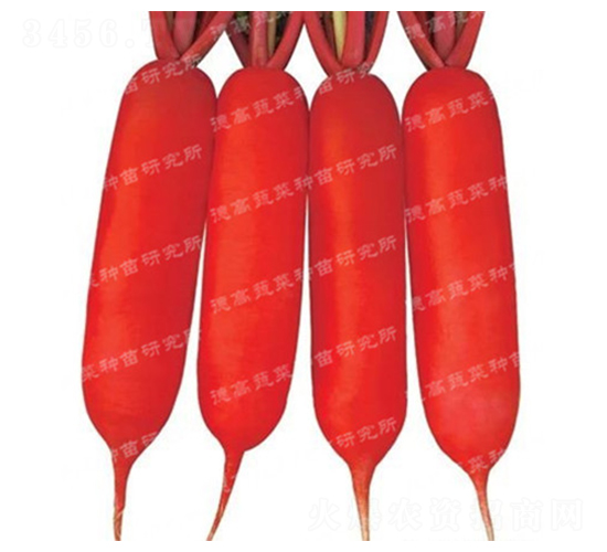 �¸�601-�}���N��-�¸�