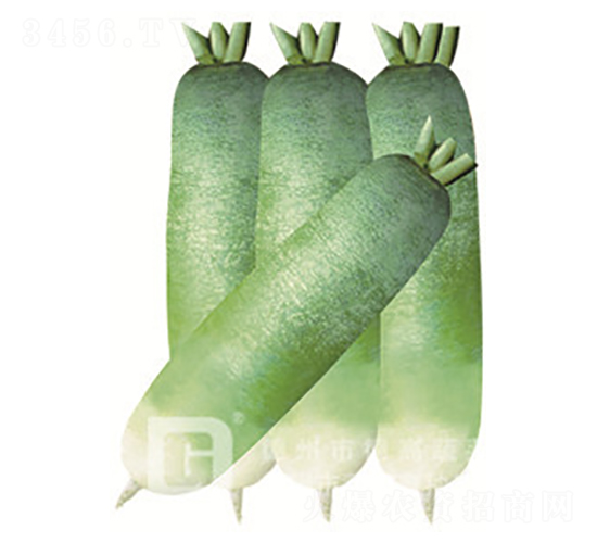 �¸���-ˮ���}���N��-�¸�