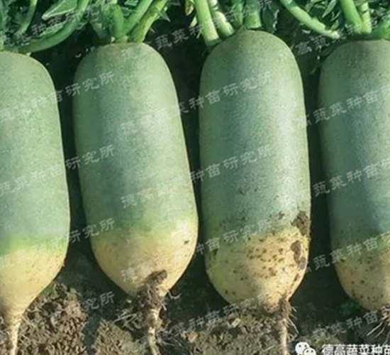 ���-ˮ���}���N��-�¸�