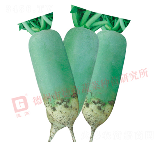 ��Ȫ-ˮ���}���N��-�¸�